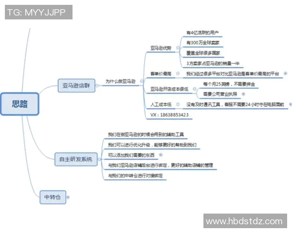 无货源跨境电商如何打造高效盈利模式并降低风险分析