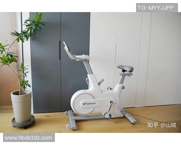 家用女士健身器材精选推荐：体型塑造与健康兼顾