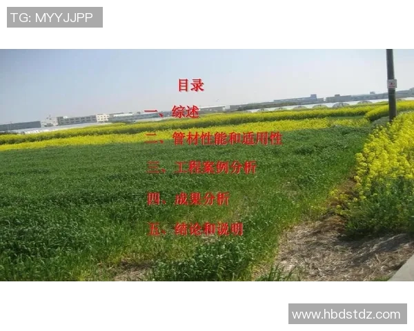 重庆飞盘队的战术意识与团队协作探讨及其对比赛表现的影响分析